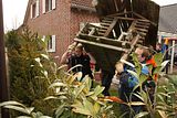 samstag (holz sammeln) (34)